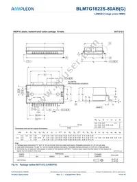 BLM7G1822S-80ABGY Datasheet Page 14