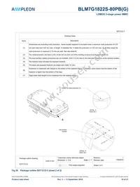 BLM7G1822S-80PBY Datasheet Page 16