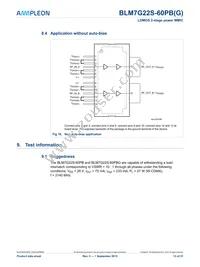 BLM7G22S-60PBGY Datasheet Page 13