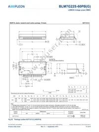 BLM7G22S-60PBGY Datasheet Page 17