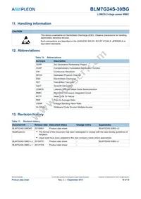 BLM7G24S-30BGY Datasheet Page 16