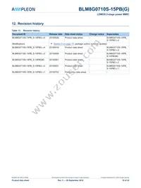 BLM8G0710S-15PBGY Datasheet Page 19