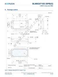 BLM8G0710S-30PBY Datasheet Page 14