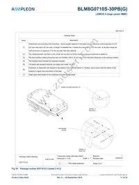 BLM8G0710S-30PBY Datasheet Page 17