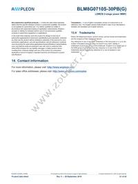 BLM8G0710S-30PBY Datasheet Page 21