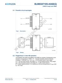 BLM8G0710S-45ABGY Datasheet Page 9