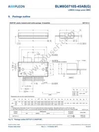 BLM8G0710S-45ABGY Datasheet Page 15