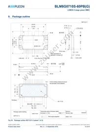 BLM8G0710S-60PBGY Datasheet Page 13