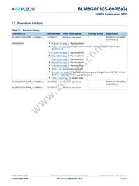 BLM8G0710S-60PBGY Datasheet Page 18