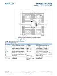 BLM9D2325-20ABZ Datasheet Page 6