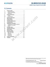 BLM9D2325-20ABZ Datasheet Page 16