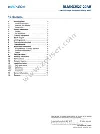 BLM9D2527-20ABZ Datasheet Page 17