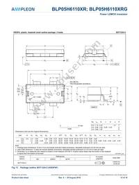 BLP05H6110XRY Datasheet Page 12