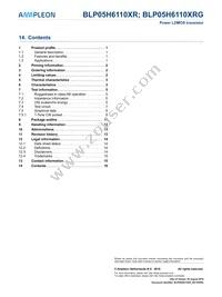 BLP05H6110XRY Datasheet Page 16