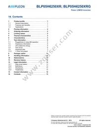 BLP05H6250XRY Datasheet Page 15