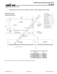 BLP40-3000G Datasheet Page 4