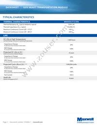 BMOD0063 P125 B08 Datasheet Page 3