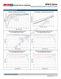 BPM15-050-Q12N-C Datasheet Page 21