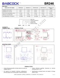 BR246-320A2-28V-024M Datasheet Page 2