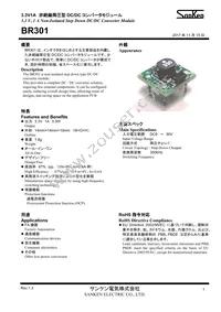 BR301 Datasheet Cover