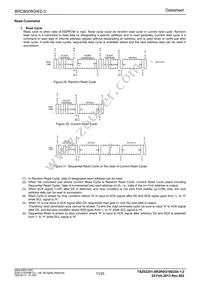 BRCB008GWZ-3E2 Datasheet Page 13