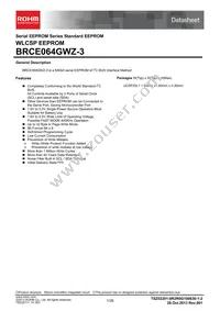 BRCE064GWZ-3E2 Datasheet Cover