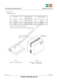 BRGB1315C-TF Datasheet Page 21