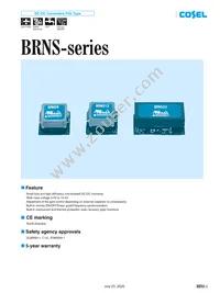 BRNS20 Datasheet Cover