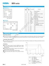 BRNS20 Datasheet Page 4