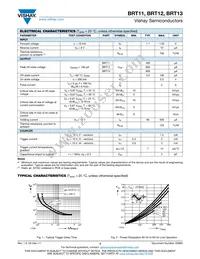 BRT13H Datasheet Page 3