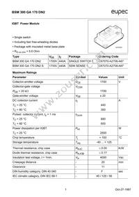 BSM300GA170DN2HOSA1 Datasheet Cover