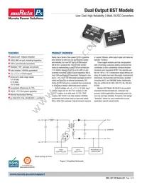 BST-12/125-D12-C Datasheet Cover