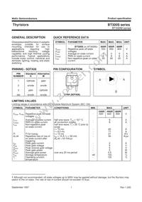 BT300S-600R Datasheet Page 2