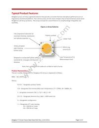 BXRE-40E3001-D-03 Datasheet Page 3