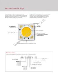 BXRE-40G0800-E-72 Datasheet Page 4