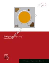 BXRH-40G3000-D-23 Datasheet Cover
