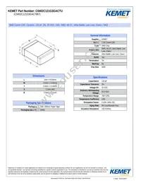 C0402C121G3GACTU Datasheet Cover