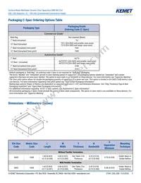 C0603C103J3GECAUTO Datasheet Page 3