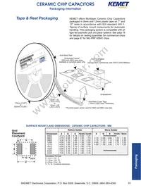 C0603C225K9PALTU Datasheet Page 3