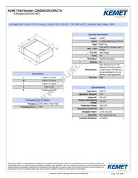 C0603W102KCRAC7867 Datasheet Cover