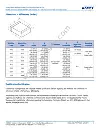 C0603X102F3GAC7867 Datasheet Page 4