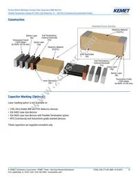 C0603X102F3GAC7867 Datasheet Page 13