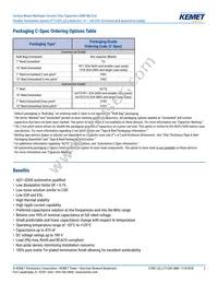 C0603X162M8JACAUTO Datasheet Page 2