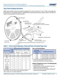 C0603X331G3HACAUTO Datasheet Page 14