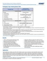 C0603Y102K3RACTU Datasheet Page 2