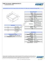 C0805W223KCRAC7800 Datasheet Cover