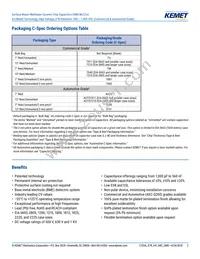 C0805W332KCRACTU Datasheet Page 2