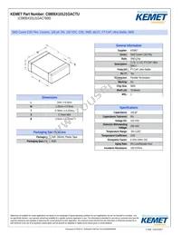 C0805X101J1GACTU Datasheet Cover