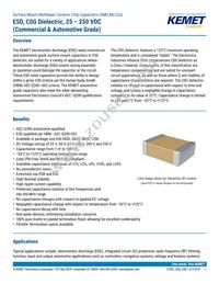 C0805X222G3GEC7210 Datasheet Cover