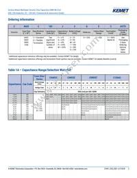 C0805X222G3GEC7210 Datasheet Page 2